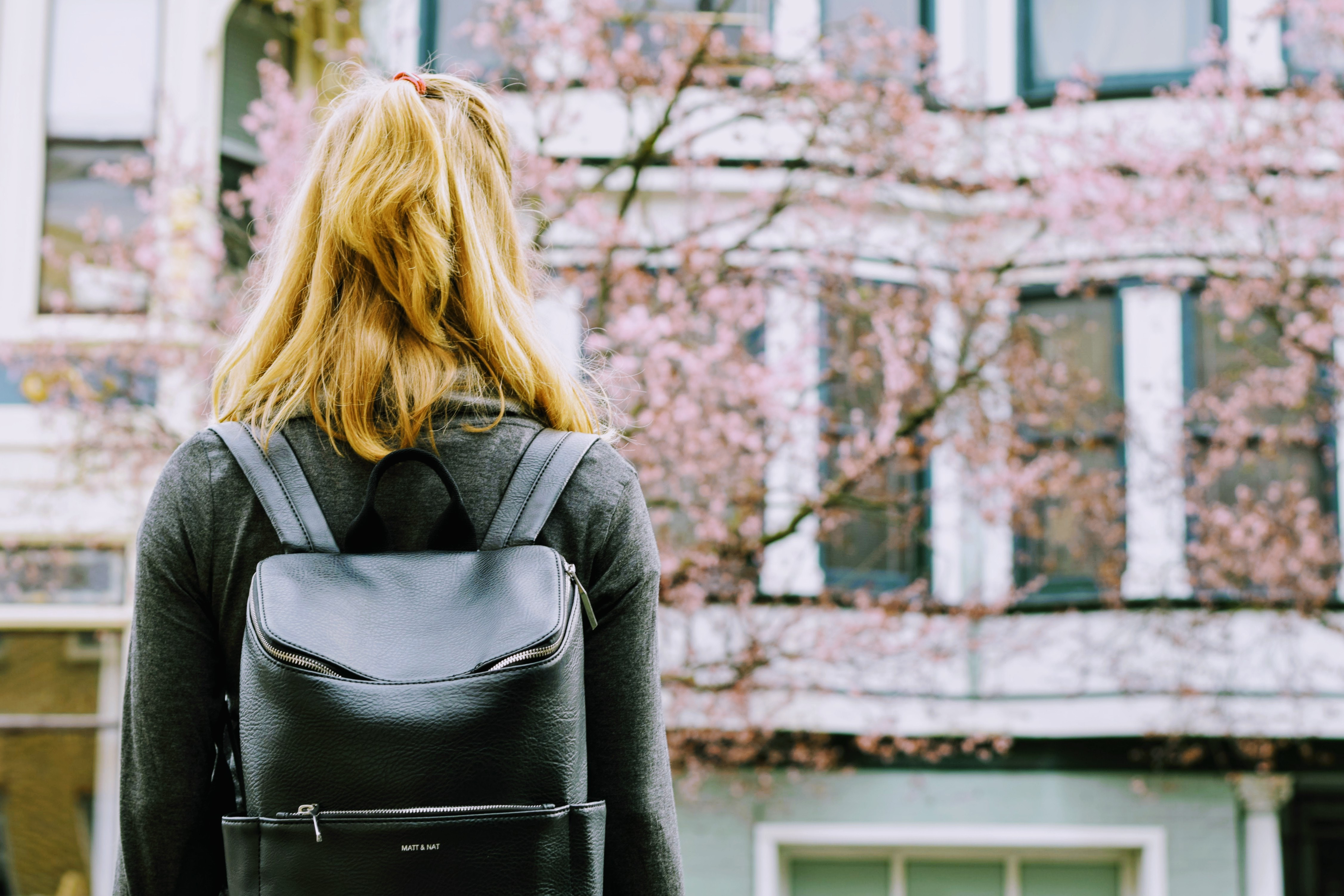 college girl in leather backpack looking at pink tree and buildings