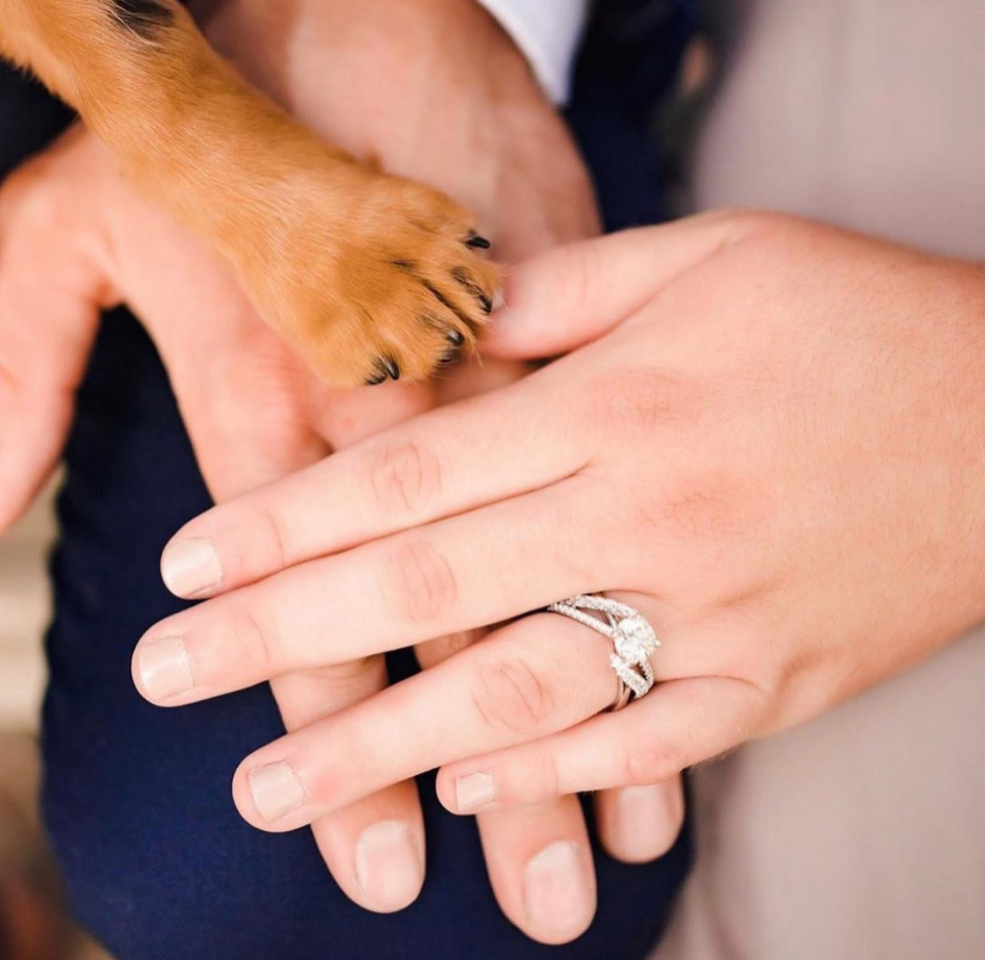 wedding ring, engagement ring, dog at wedding, engagement photo, hands, paw, wedding couple with dog