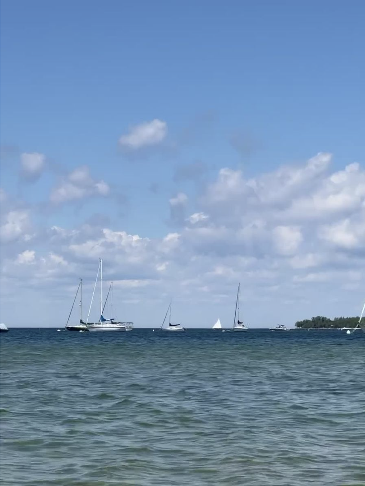 sailboats on water in Lake Michigan