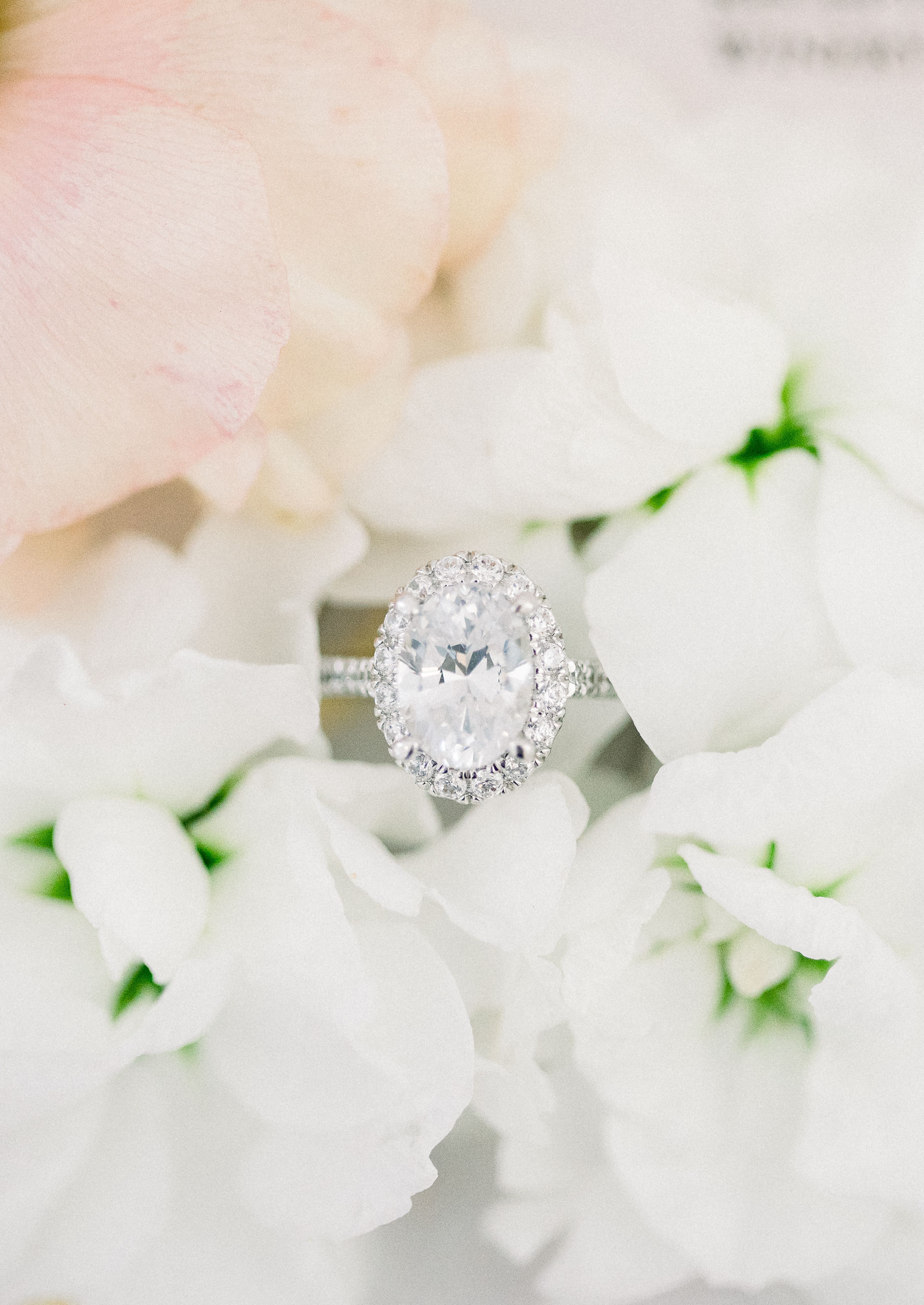 oval cut diamond engagement ring among white flowers