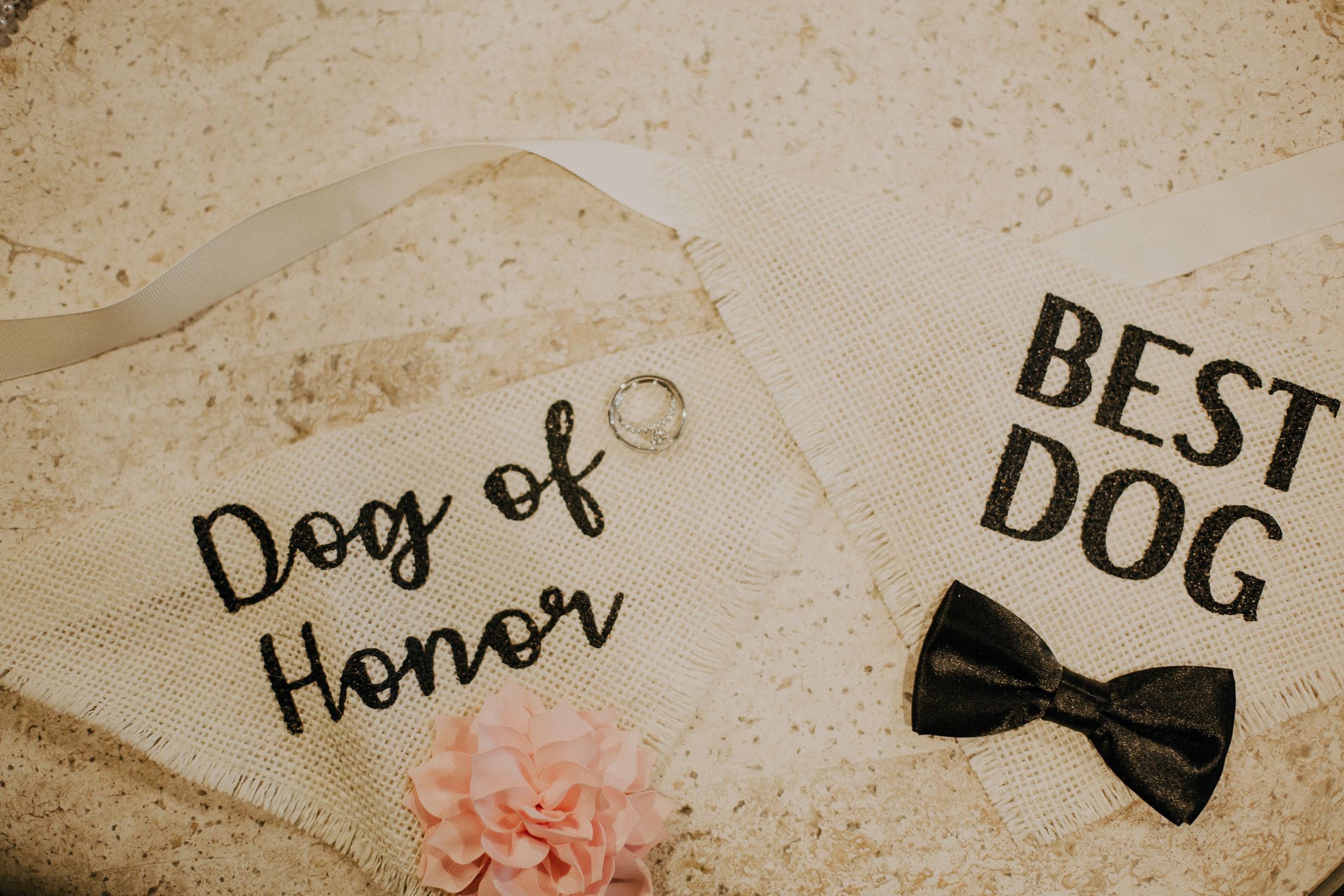 wedding rings with dog bandanas